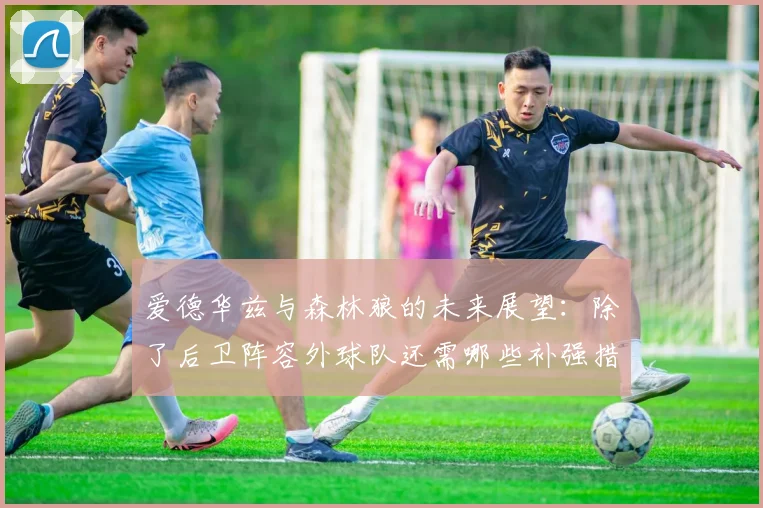 爱德华兹与森林狼的未来展望：除了后卫阵容外球队还需哪些补强措施