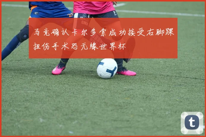马竞确认卡尔多索成功接受右脚踝扭伤手术恐无缘世界杯