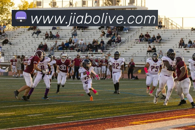 佳博体育发展历程